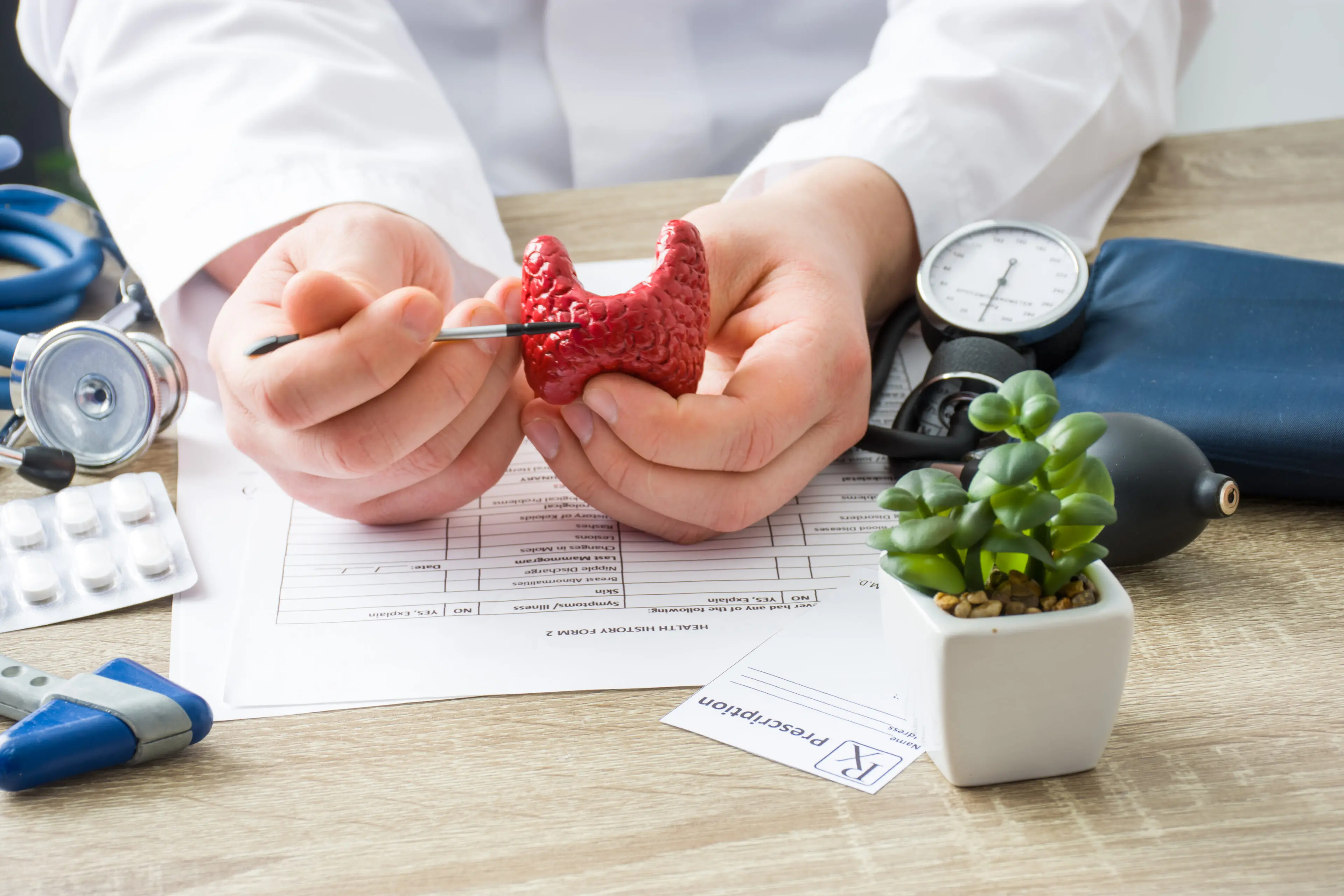 At doctors appointment physician shows to patient shape of thyroid gland with focus on hand with organ. Scene explaining patient causes and localization of diseases of thyroid and endocrine system